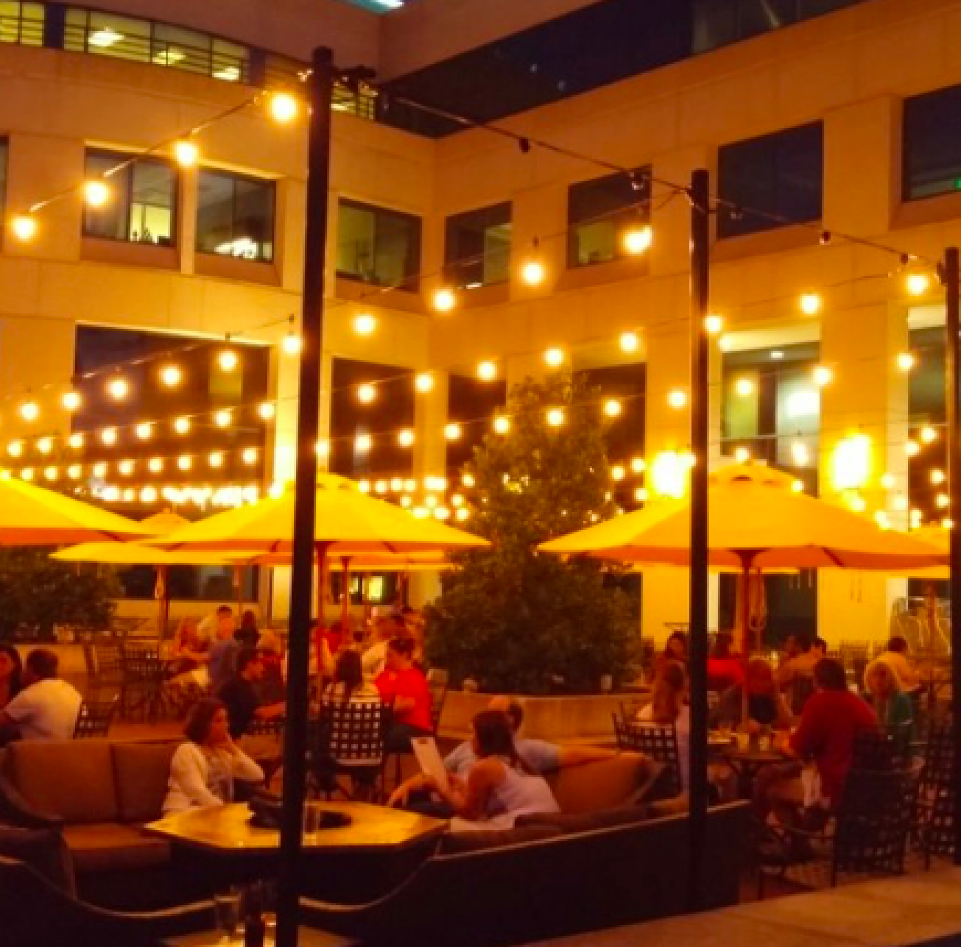 Best Kid & Dog Friendly Patios Around Charlotte for 2023 Scoop