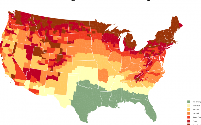 Screenshot-2024-09-02-at-9.53