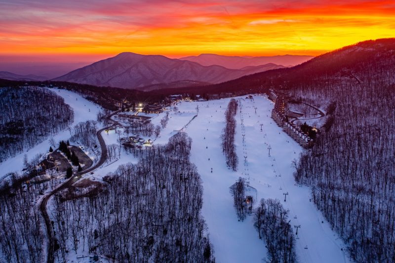 No photo description available.