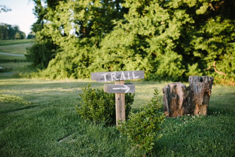 grassy creek vineyard