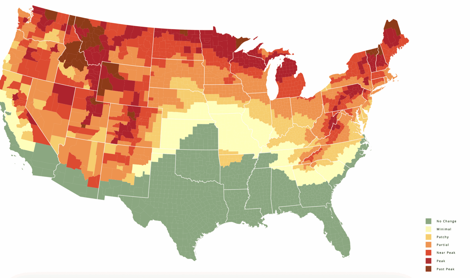 Leaf-Peeping 2025. Here's Your Peak Fall Color Schedule for the NC